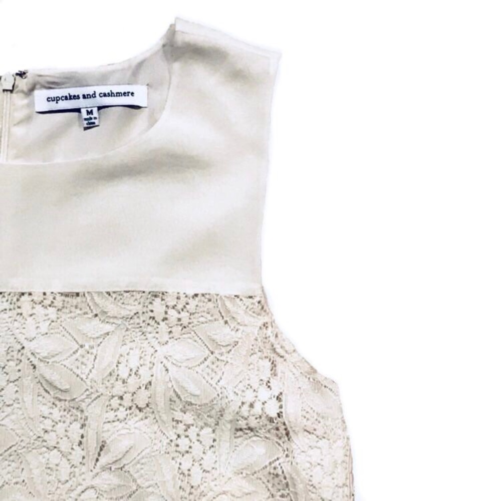 🆕 Cupcakes & Cashmere Sleeveless Lace Shift Dress